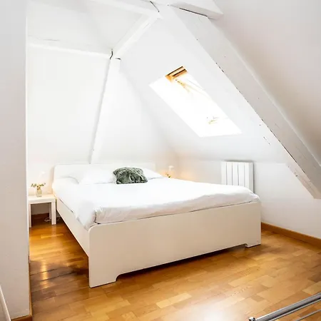 Le Balcon Fleuri Centre Robertsau Tram Jardiniers Διαμέρισμα