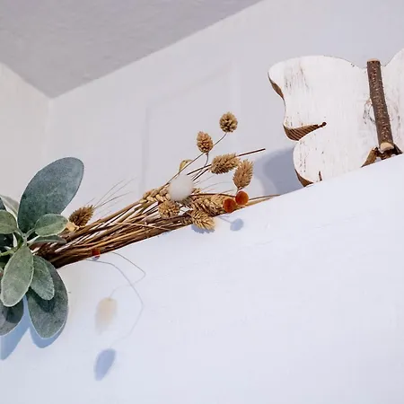 Le Balcon Fleuri Centre Robertsau Tram Jardiniers * Στρασβούργο