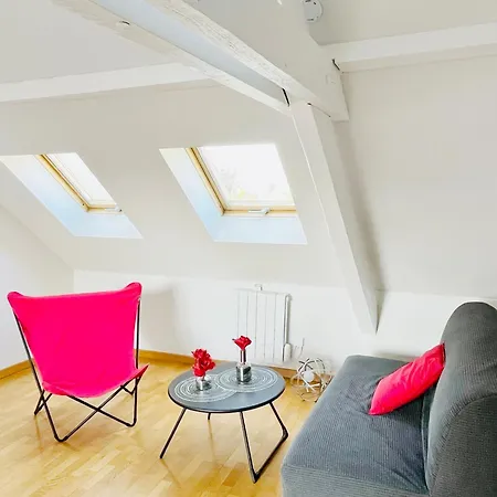 Le Balcon Fleuri Centre Robertsau Tram Jardiniers Apartament