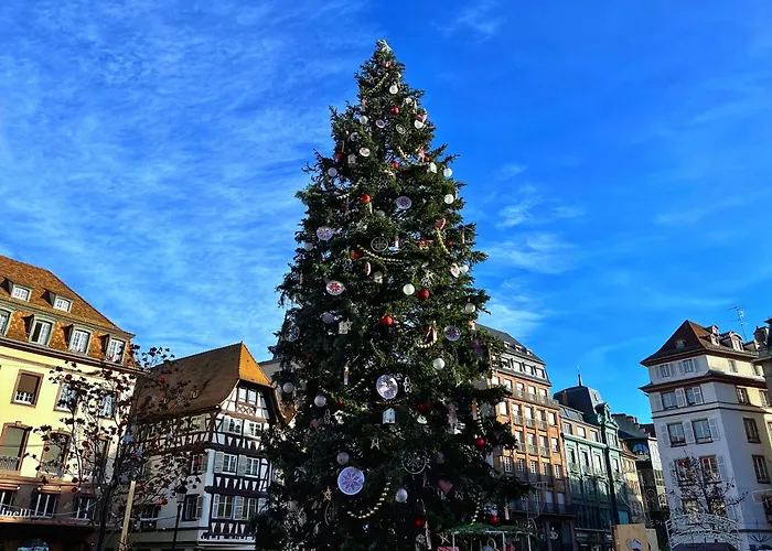 Avec Balcon A Robertsau *