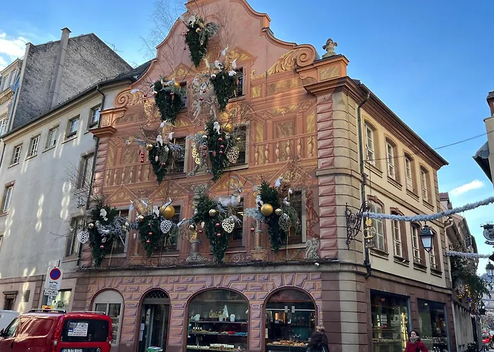 Avec Balcon A Robertsau 斯特拉斯堡