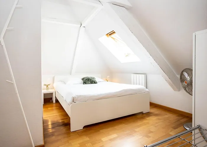 Avec Balcon A Robertsau 公寓