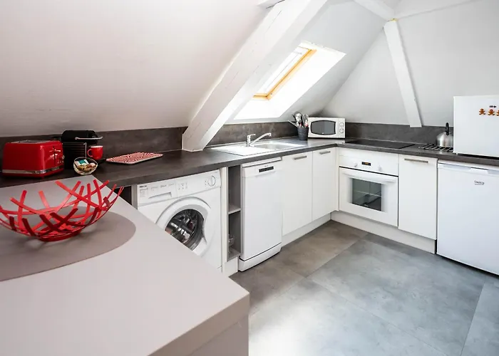 公寓 Avec Balcon A Robertsau 斯特拉斯堡