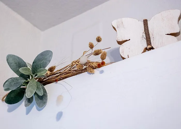 Avec Balcon A Robertsau * 斯特拉斯堡