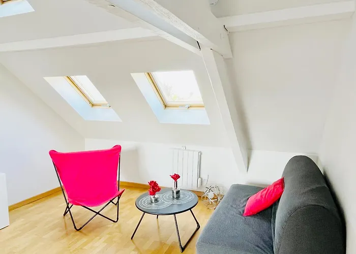 Avec Balcon A Robertsau 公寓