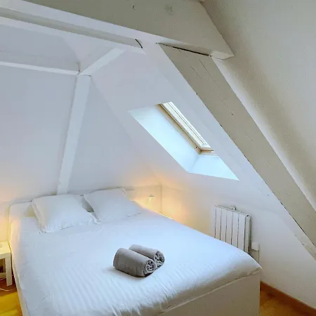Le Balcon Fleuri Centre Robertsau Tram Jardiniers Apartment
