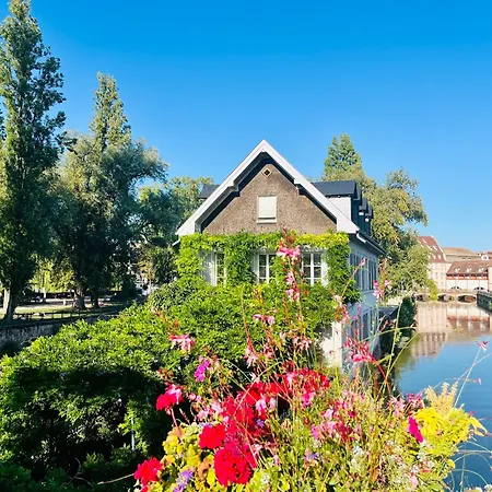 Le Balcon Fleuri Centre Robertsau Tram Jardiniers Daire *