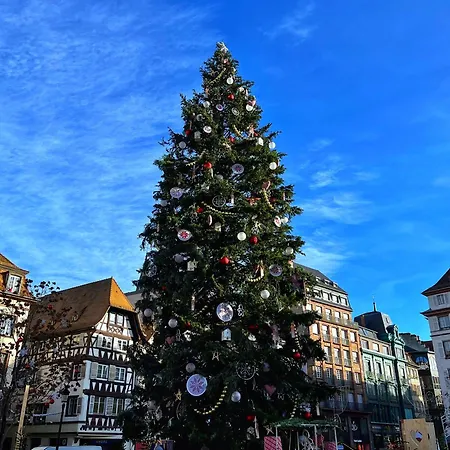 Le Balcon Fleuri Centre Robertsau Tram Jardiniers *