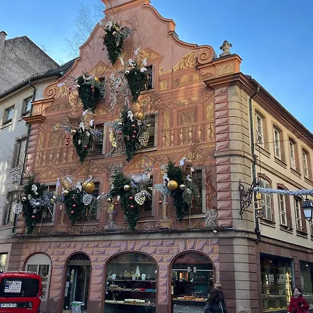 Le Balcon Fleuri Centre Robertsau Tram Jardiniers Strazburg