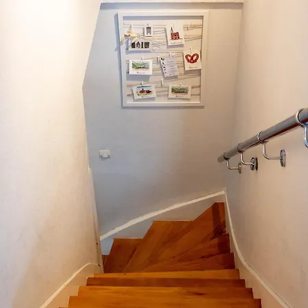 Le Balcon Fleuri Centre Robertsau Tram Jardiniers Strasbourg