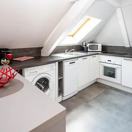 Apartment Le Balcon Fleuri Centre Robertsau Tram Jardiniers Strasbourg